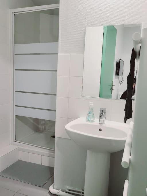 Apartment Proche Disneyland Parc Asterix 